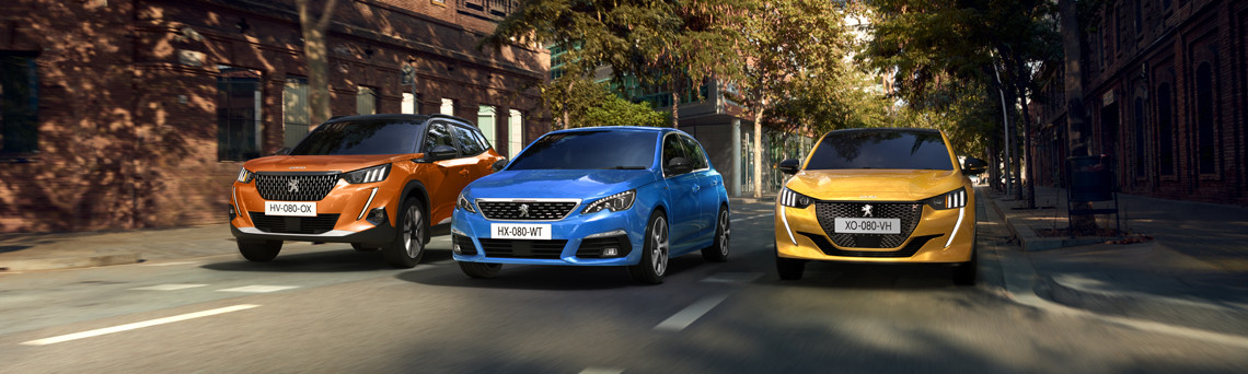 What will be the impact of the 2030 ban on petrol and diesel cars?