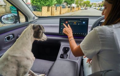 Leapmotor ‘Guard Mode’ Will Keep Your Pet Cool In The Car On Hot Days
